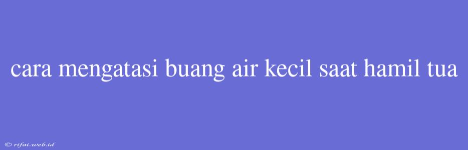 Cara Mengatasi Buang Air Kecil Saat Hamil Tua