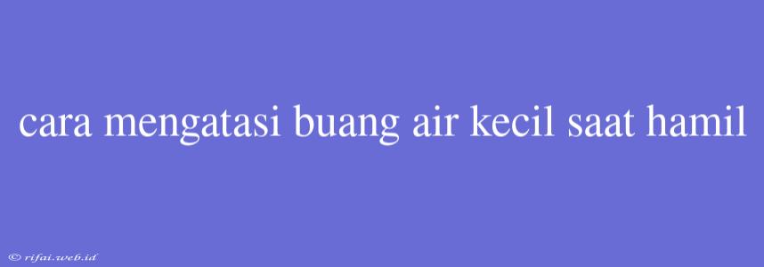 Cara Mengatasi Buang Air Kecil Saat Hamil