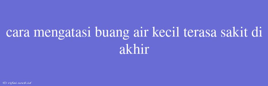 Cara Mengatasi Buang Air Kecil Terasa Sakit Di Akhir