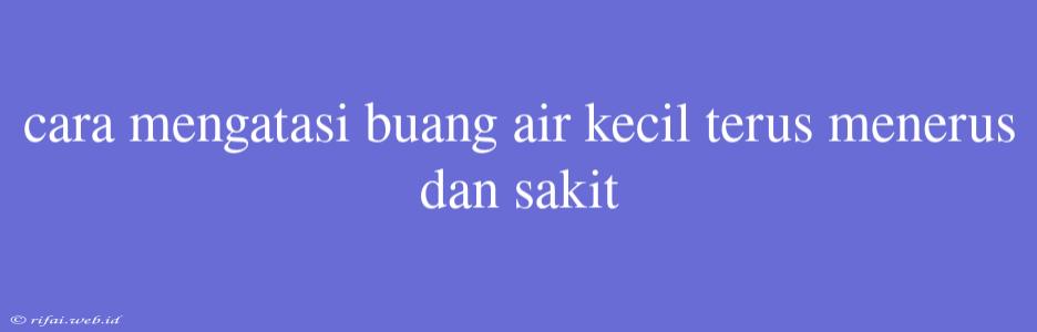 Cara Mengatasi Buang Air Kecil Terus Menerus Dan Sakit