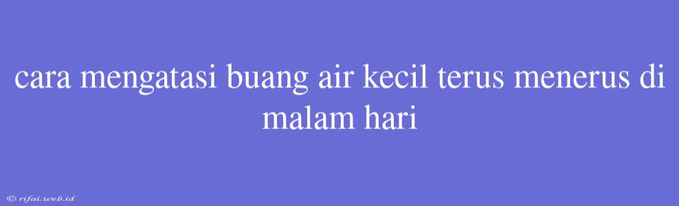 Cara Mengatasi Buang Air Kecil Terus Menerus Di Malam Hari