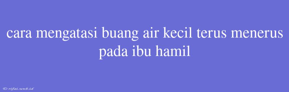 Cara Mengatasi Buang Air Kecil Terus Menerus Pada Ibu Hamil