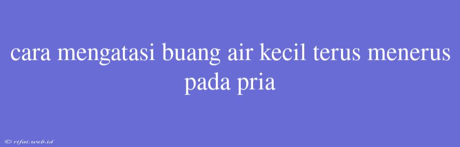 Cara Mengatasi Buang Air Kecil Terus Menerus Pada Pria