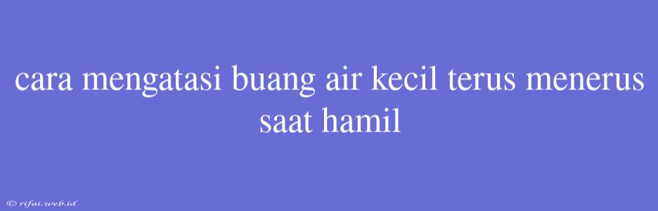 Cara Mengatasi Buang Air Kecil Terus Menerus Saat Hamil