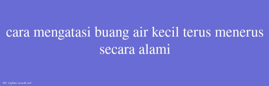 Cara Mengatasi Buang Air Kecil Terus Menerus Secara Alami