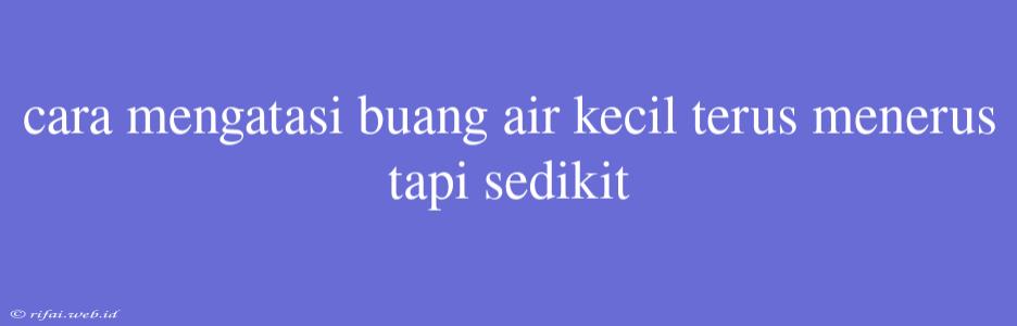 Cara Mengatasi Buang Air Kecil Terus Menerus Tapi Sedikit