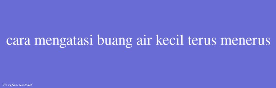 Cara Mengatasi Buang Air Kecil Terus Menerus