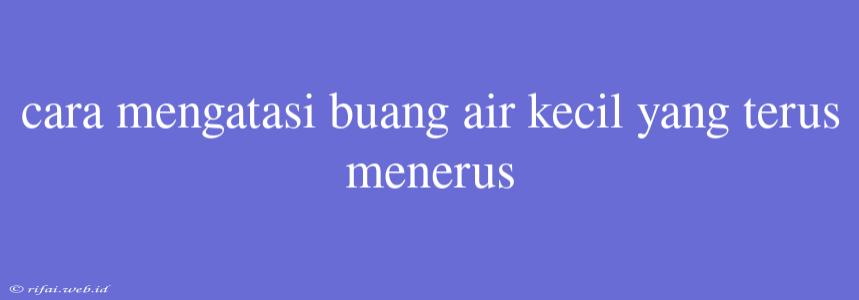 Cara Mengatasi Buang Air Kecil Yang Terus Menerus