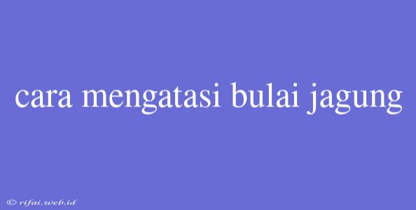 Cara Mengatasi Bulai Jagung