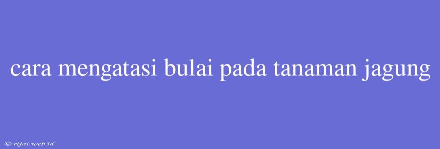 Cara Mengatasi Bulai Pada Tanaman Jagung