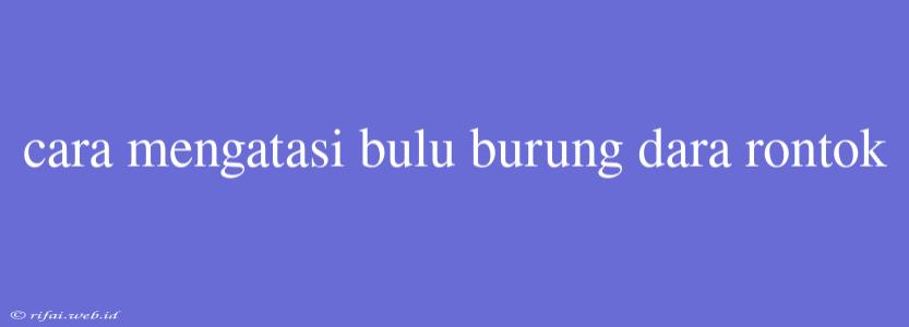 Cara Mengatasi Bulu Burung Dara Rontok