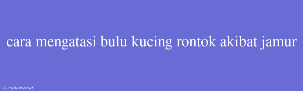 Cara Mengatasi Bulu Kucing Rontok Akibat Jamur