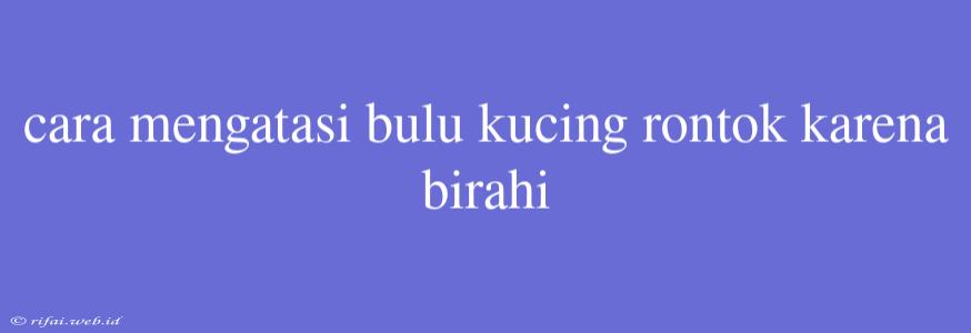 Cara Mengatasi Bulu Kucing Rontok Karena Birahi