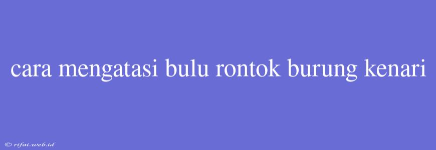 Cara Mengatasi Bulu Rontok Burung Kenari