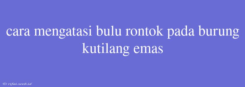 Cara Mengatasi Bulu Rontok Pada Burung Kutilang Emas