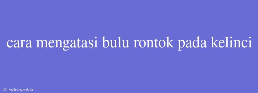 Cara Mengatasi Bulu Rontok Pada Kelinci