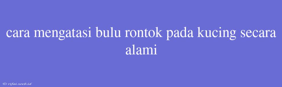 Cara Mengatasi Bulu Rontok Pada Kucing Secara Alami