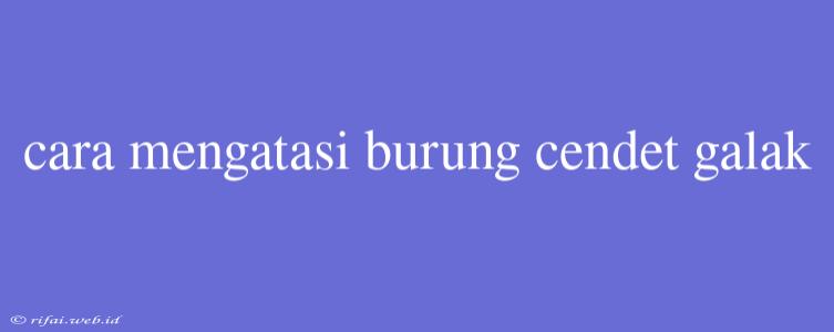 Cara Mengatasi Burung Cendet Galak