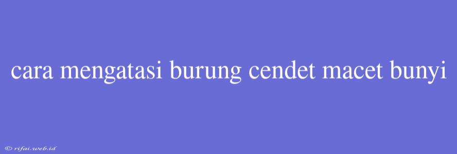 Cara Mengatasi Burung Cendet Macet Bunyi