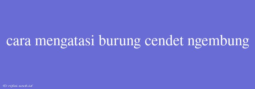 Cara Mengatasi Burung Cendet Ngembung