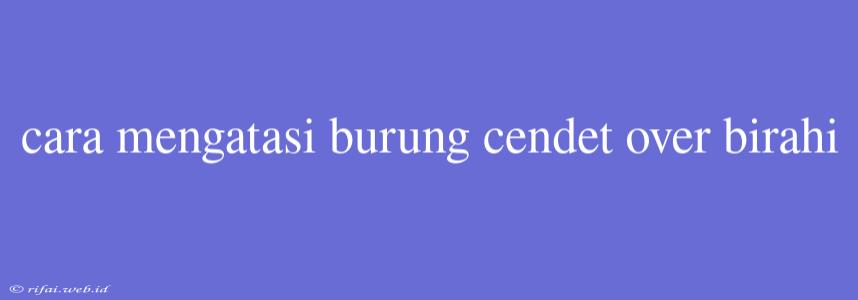 Cara Mengatasi Burung Cendet Over Birahi