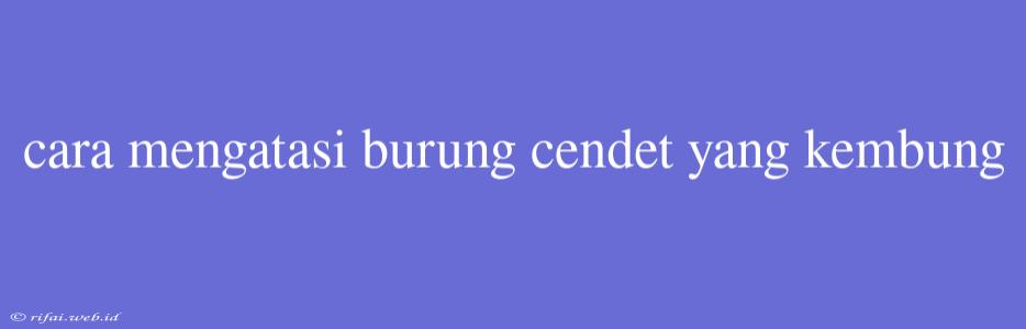 Cara Mengatasi Burung Cendet Yang Kembung