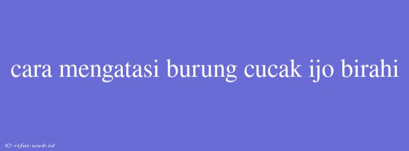 Cara Mengatasi Burung Cucak Ijo Birahi