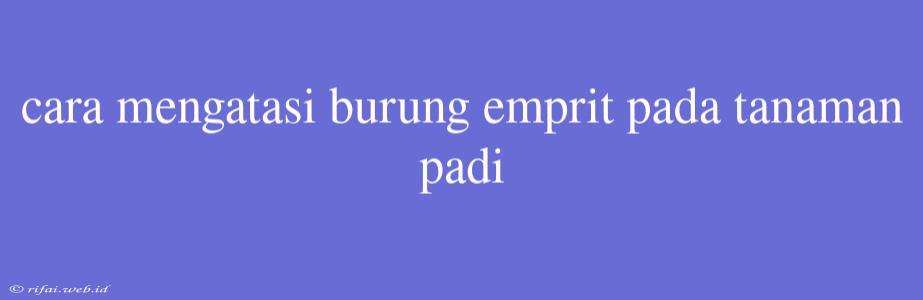 Cara Mengatasi Burung Emprit Pada Tanaman Padi