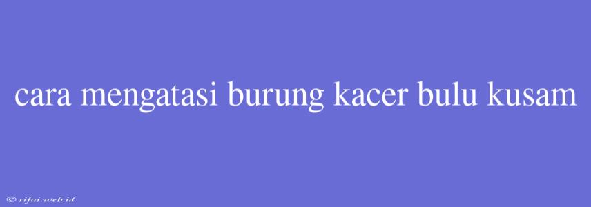 Cara Mengatasi Burung Kacer Bulu Kusam