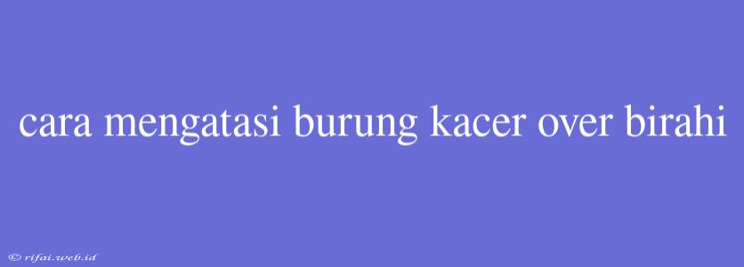 Cara Mengatasi Burung Kacer Over Birahi