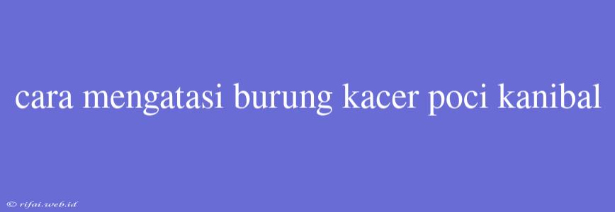 Cara Mengatasi Burung Kacer Poci Kanibal