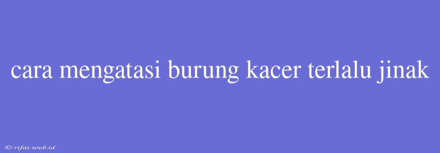 Cara Mengatasi Burung Kacer Terlalu Jinak