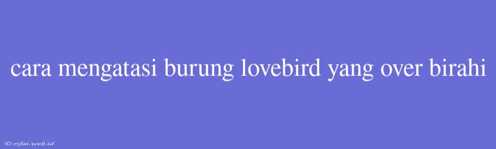 Cara Mengatasi Burung Lovebird Yang Over Birahi