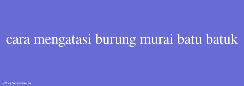 Cara Mengatasi Burung Murai Batu Batuk