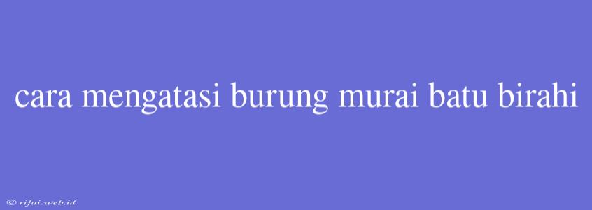 Cara Mengatasi Burung Murai Batu Birahi