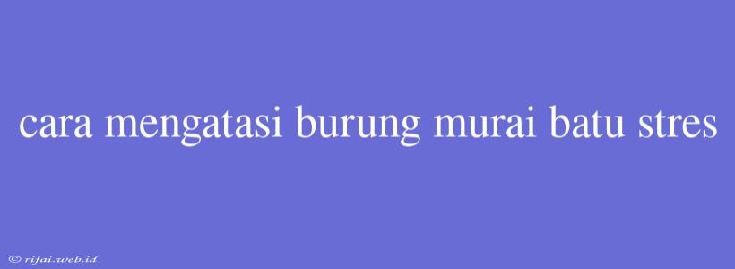 Cara Mengatasi Burung Murai Batu Stres