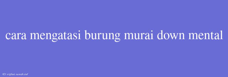 Cara Mengatasi Burung Murai Down Mental