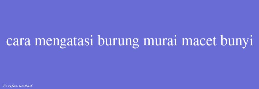 Cara Mengatasi Burung Murai Macet Bunyi