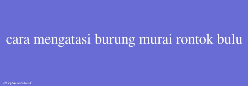 Cara Mengatasi Burung Murai Rontok Bulu