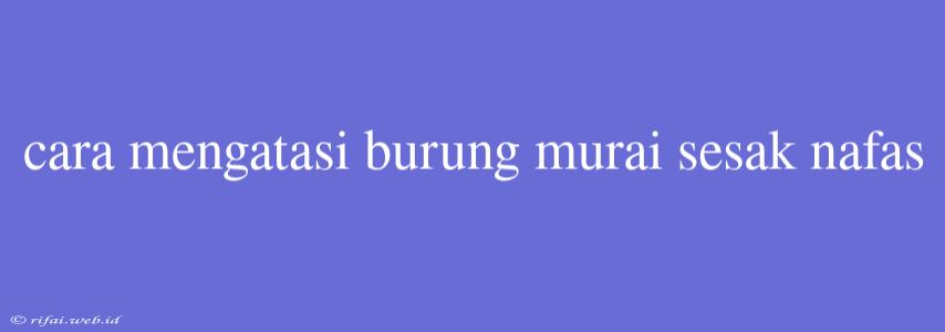 Cara Mengatasi Burung Murai Sesak Nafas