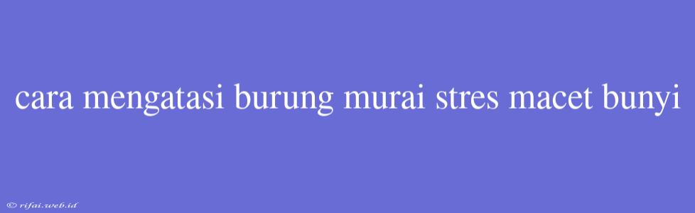 Cara Mengatasi Burung Murai Stres Macet Bunyi