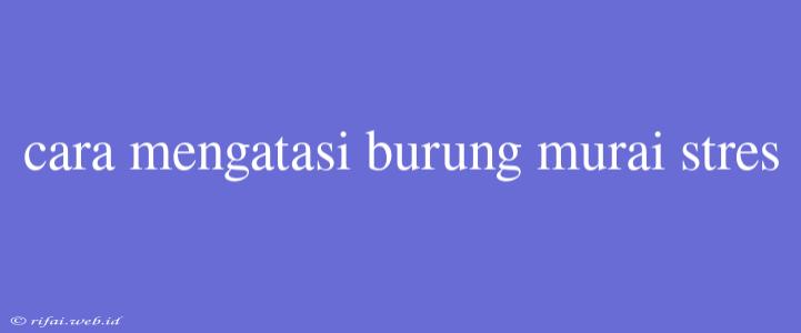 Cara Mengatasi Burung Murai Stres