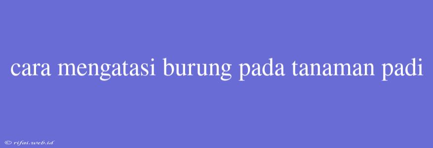 Cara Mengatasi Burung Pada Tanaman Padi