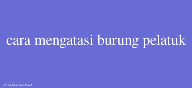 Cara Mengatasi Burung Pelatuk