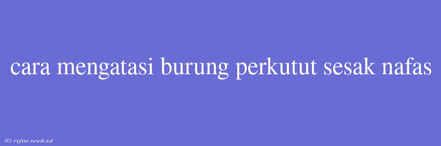 Cara Mengatasi Burung Perkutut Sesak Nafas