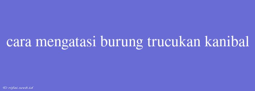 Cara Mengatasi Burung Trucukan Kanibal