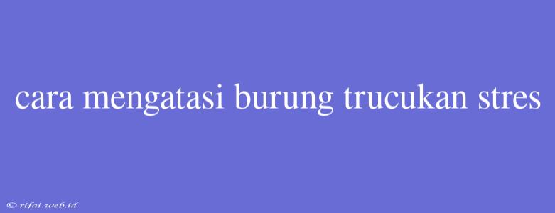 Cara Mengatasi Burung Trucukan Stres