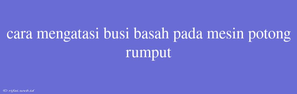 Cara Mengatasi Busi Basah Pada Mesin Potong Rumput