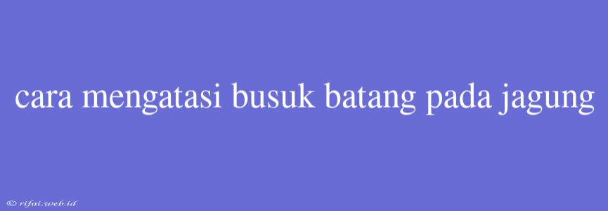 Cara Mengatasi Busuk Batang Pada Jagung