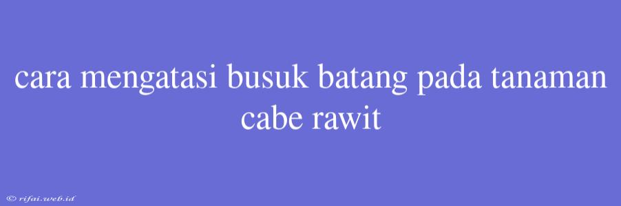 Cara Mengatasi Busuk Batang Pada Tanaman Cabe Rawit